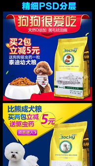 寵物用品淘寶店招設(shè)計模板——打造吸睛寵物食品店鋪