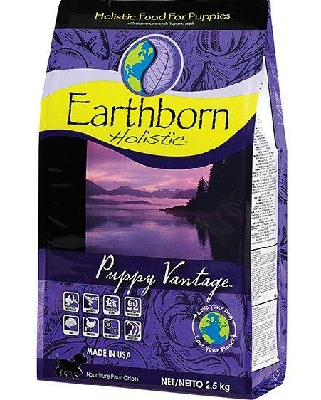 進口寵物食品的相關注意事項